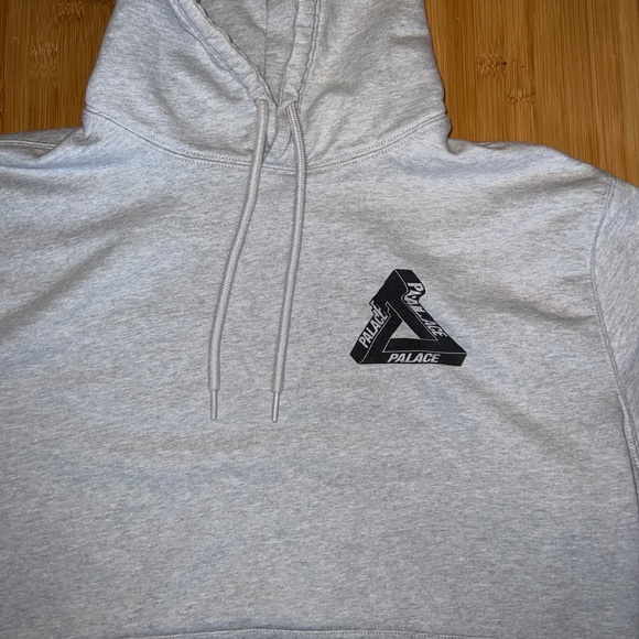 SOLD Palace Tri-Wobble Hoodie - Picture 2 of 10